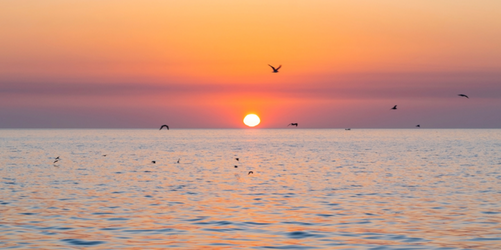 Environmental Stewardship: